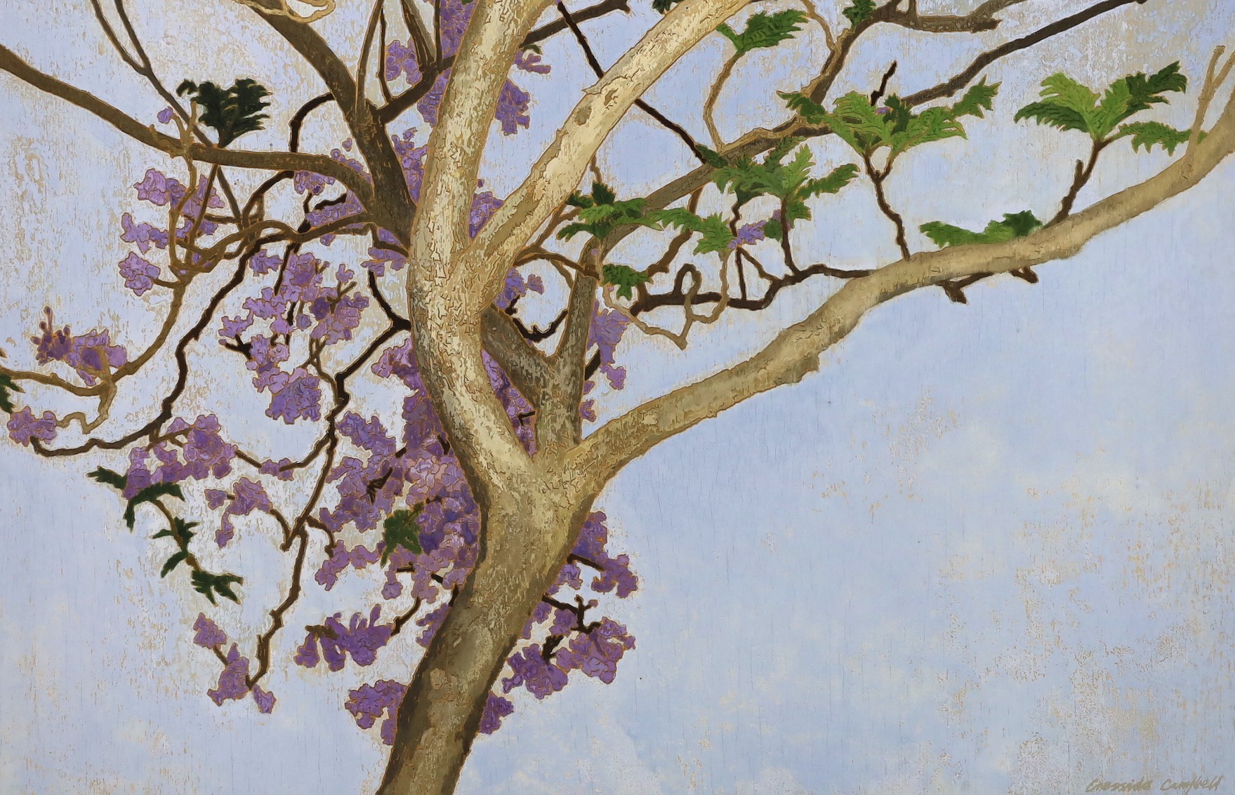 Cressida Campbell (Australian, 1960-), Jacaranda in full blossom, watercolour on incised marine ply